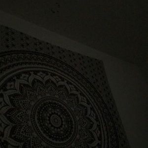 Meet your Posher, Cassie